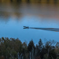 Silver Bay Marina